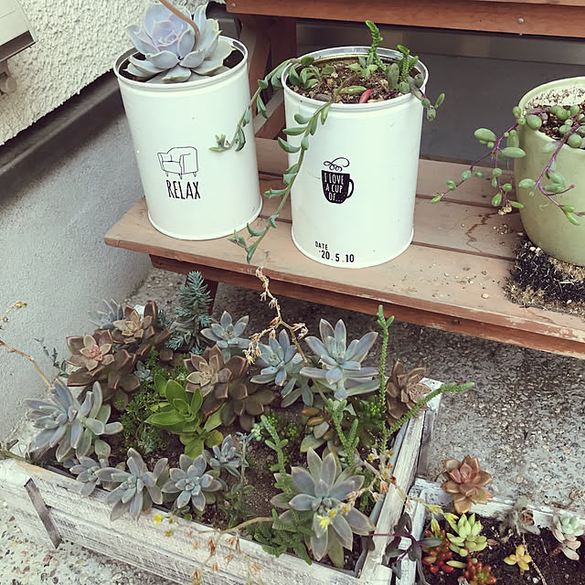 achiranさんの部屋