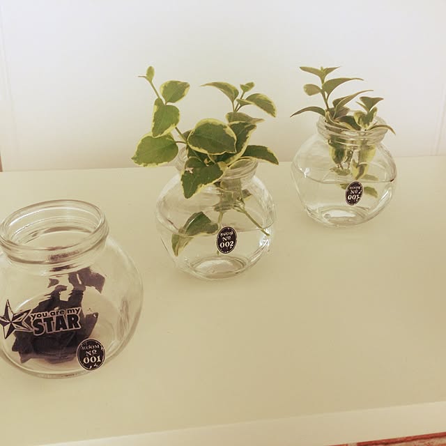 棚/観葉植物のインテリア実例 - 2015-07-18 09:27:26