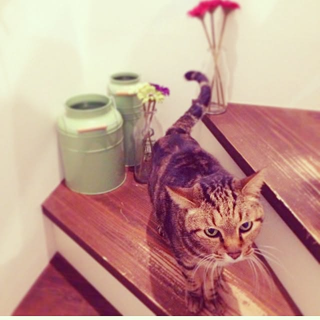 kerakoさんの実例写真