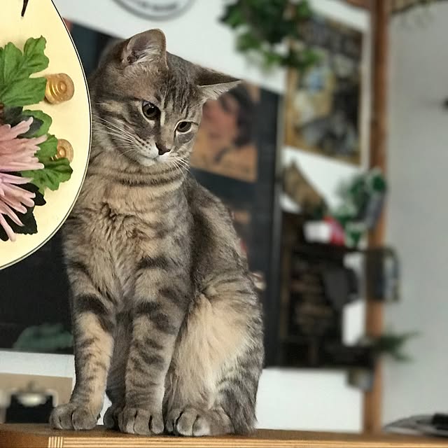ma-ya-sunsunさんの実例写真