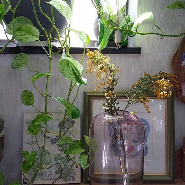 medaarataさんの実例写真