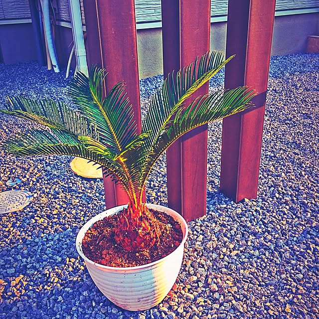 kanaaaさんの実例写真