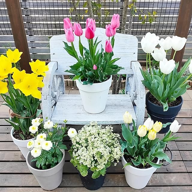 ryomomさんの部屋