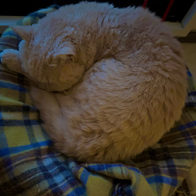 naokoさんの部屋