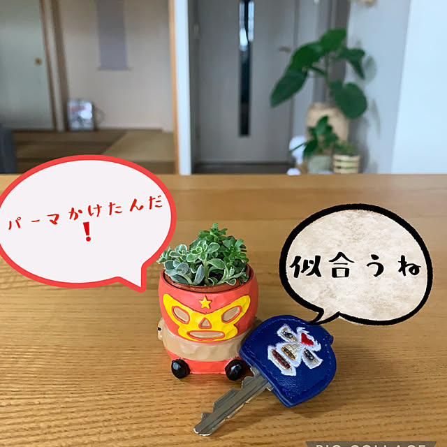 JUNさんの実例写真