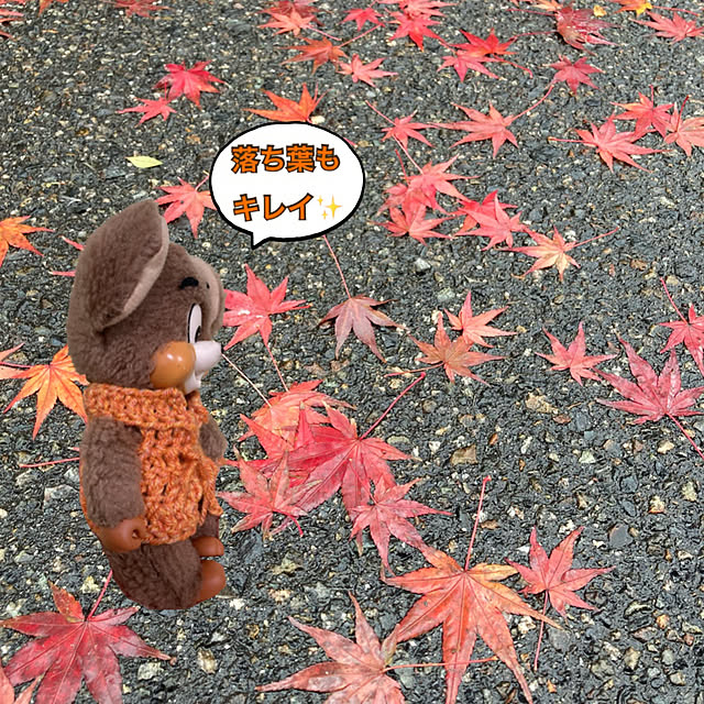 manduonmaさんの実例写真