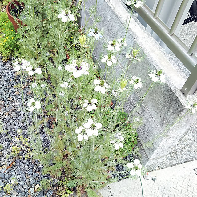 h.t.さんの実例写真