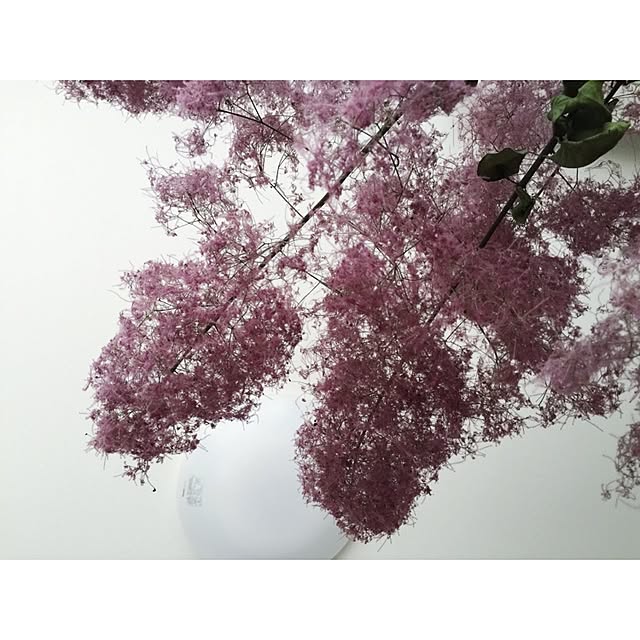 asamisekiguchiさんの実例写真