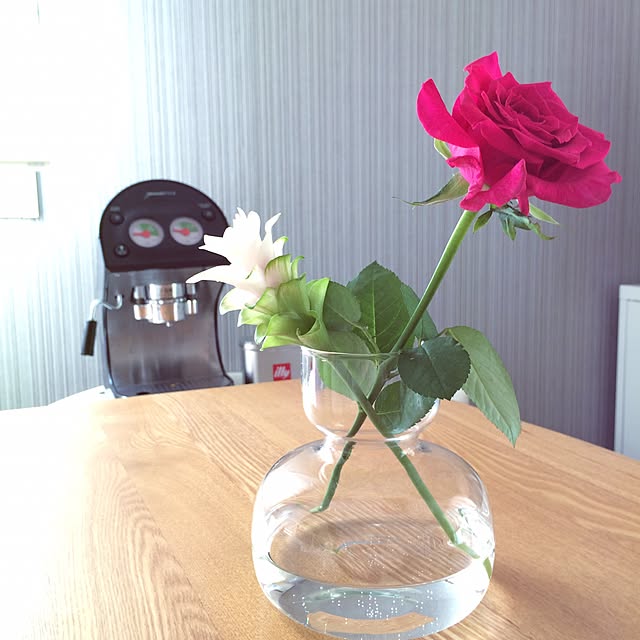 satogocoroさんの実例写真