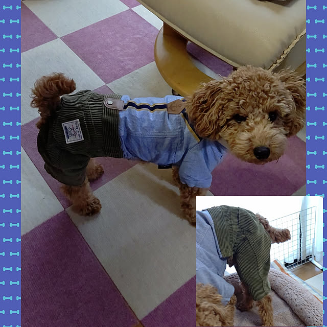 yumirinさんの実例写真