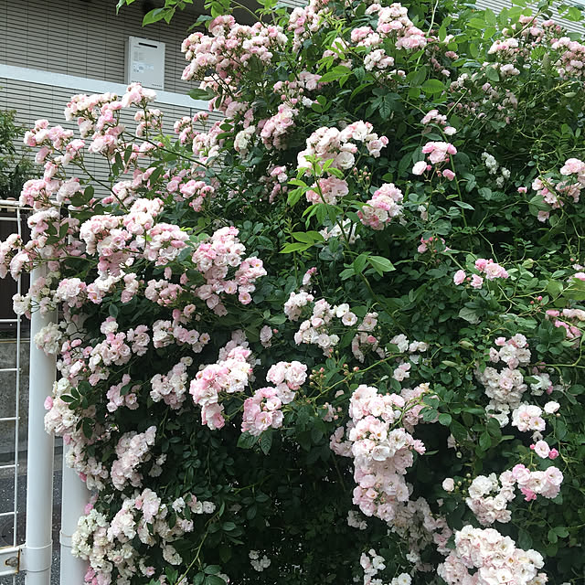 hirominさんの実例写真