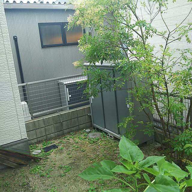 rierieさんの実例写真
