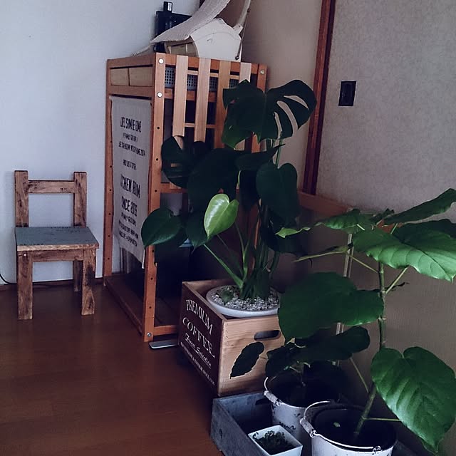 miporin0711さんの実例写真