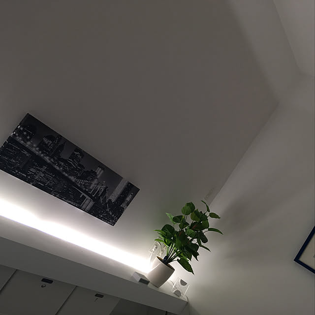 tuntun501101さんの実例写真