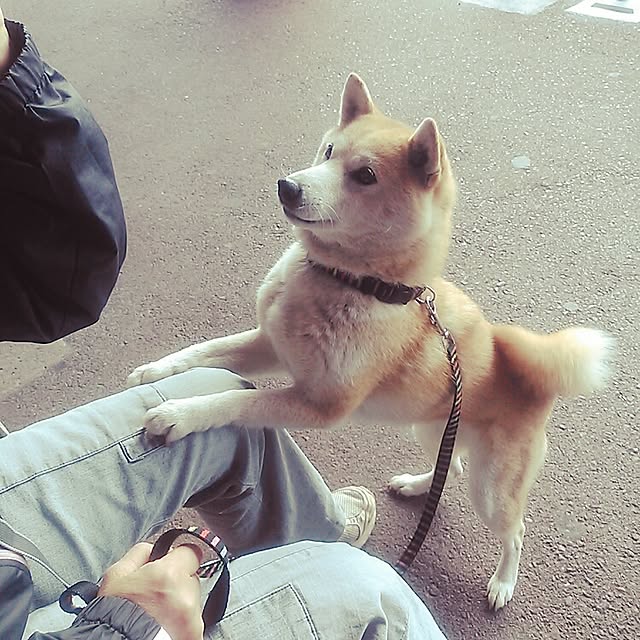 Ryoさんの実例写真