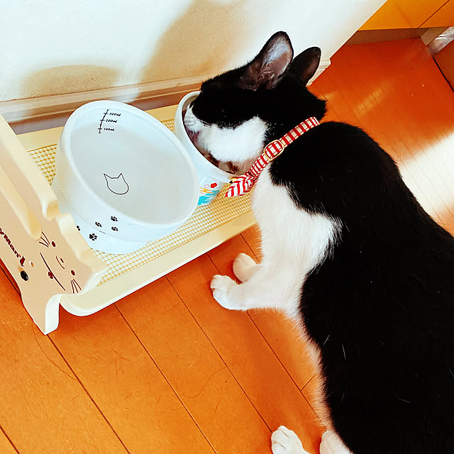 moolさんの実例写真