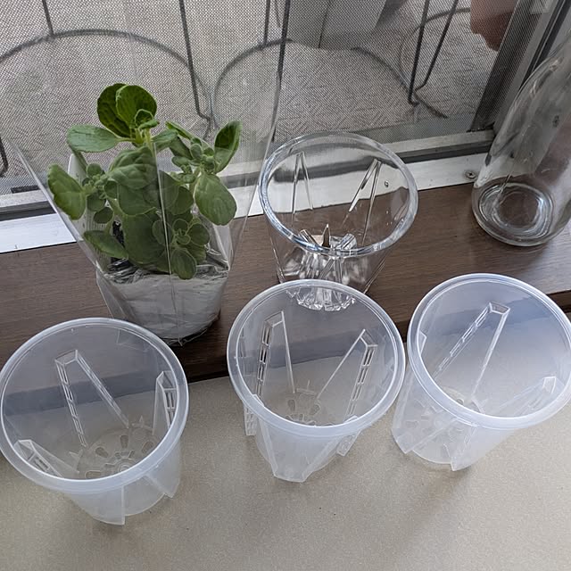 mi-saさんの部屋