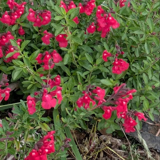 minnieさんの部屋