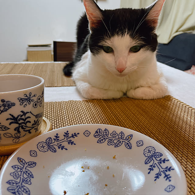 harukaさんの実例写真