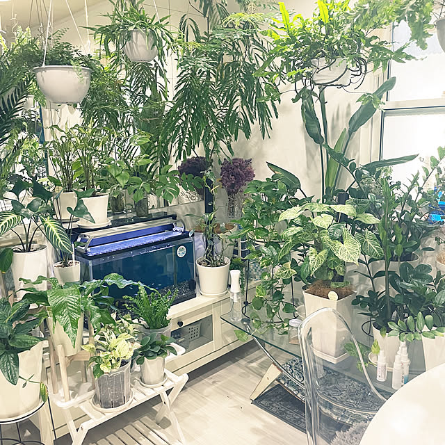 kanakoさんの部屋