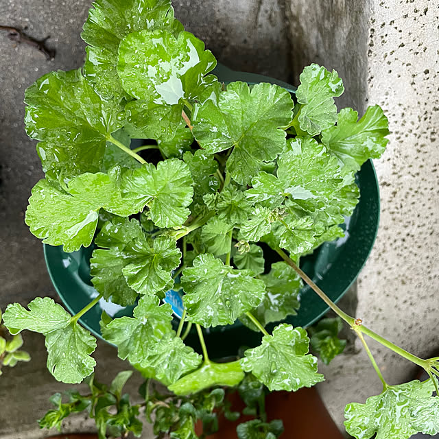 Aさんの部屋