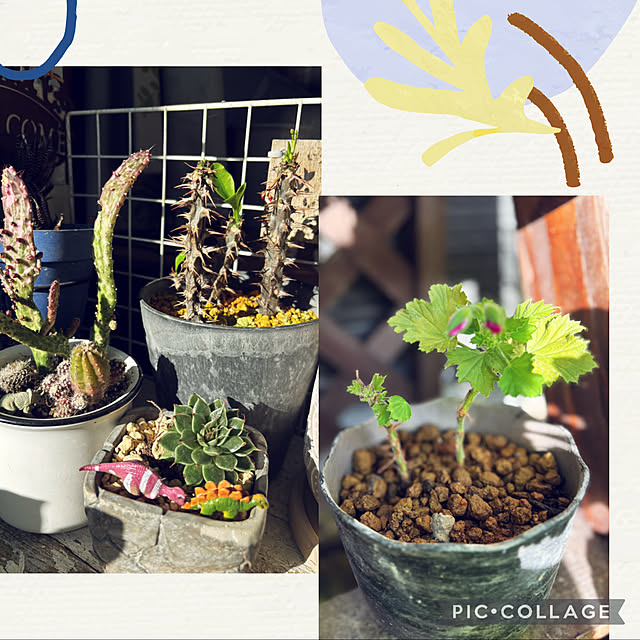 CoCo0617さんの部屋