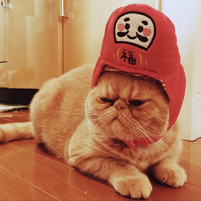 anmituさんの実例写真