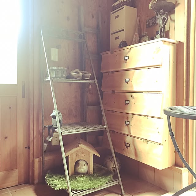 Mackyさんの実例写真