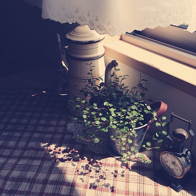 teroomsさんの実例写真