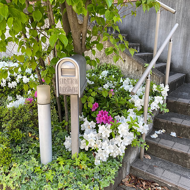takubonchanさんの実例写真