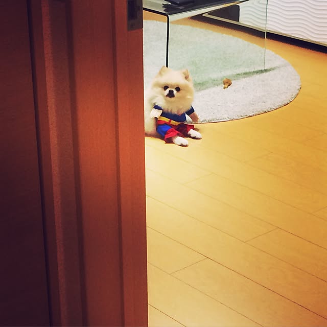 kaoさんの実例写真