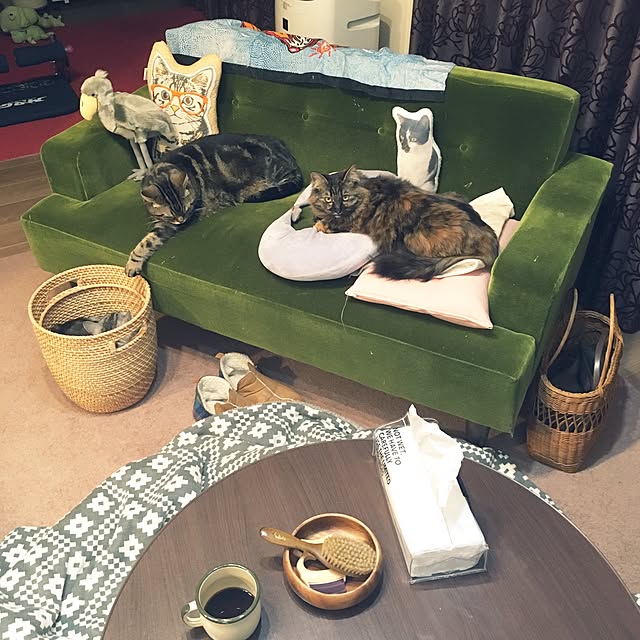 mikomaruさんの実例写真