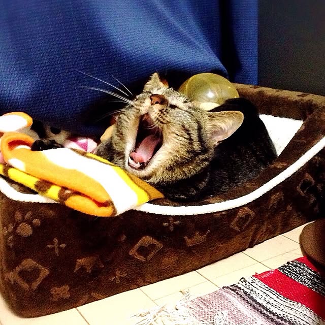 mikanさんの実例写真
