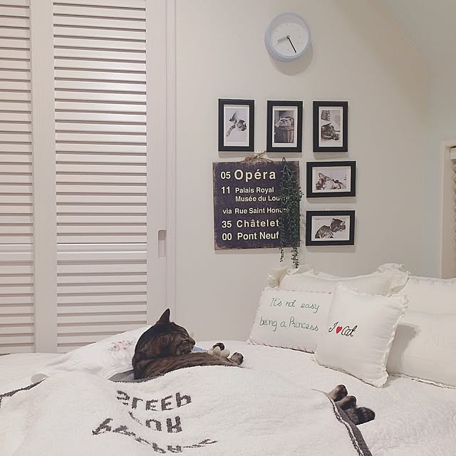 lovecatさんの実例写真
