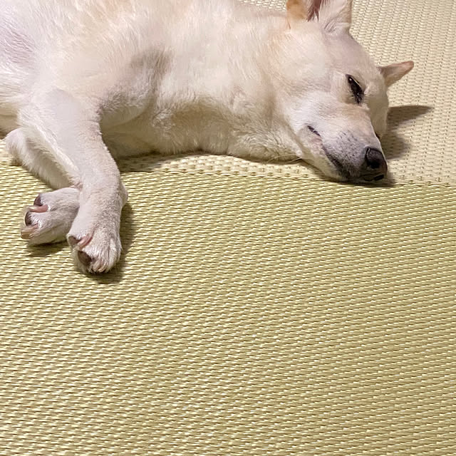 tanboさんの部屋