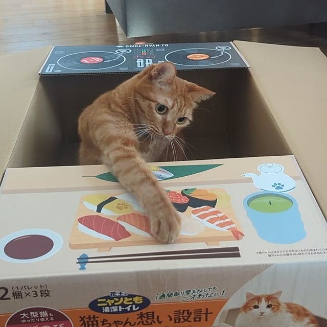 poteさんの部屋