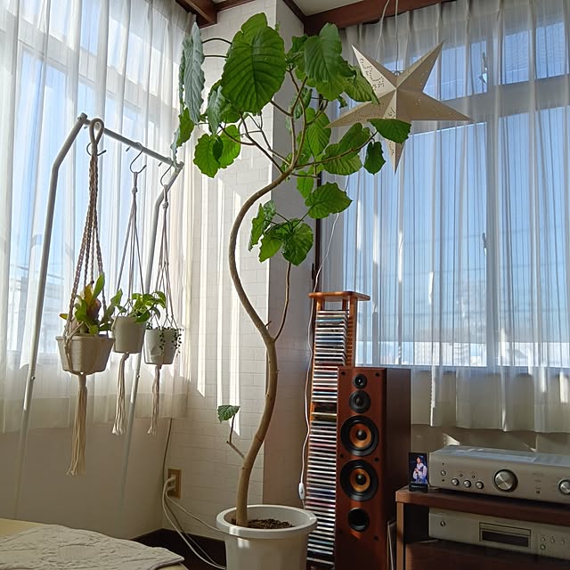 mikeさんの実例写真