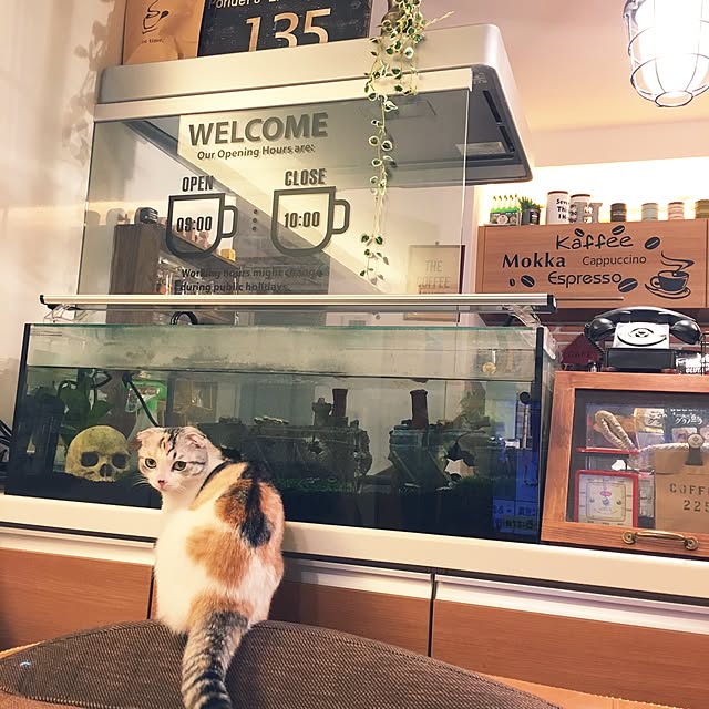 yokkochanさんの実例写真