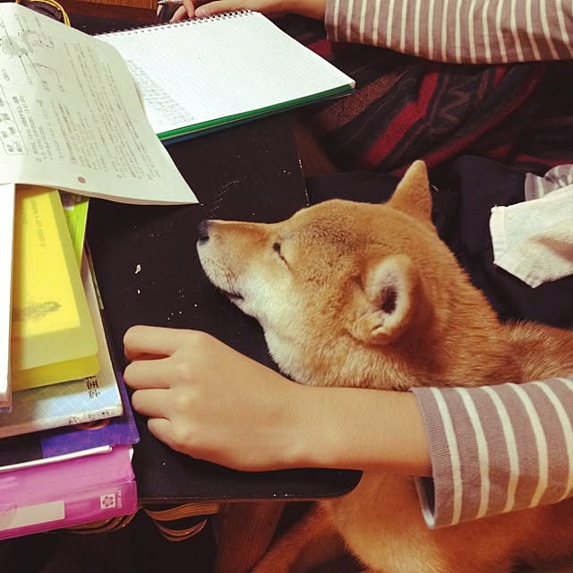 botanさんの実例写真
