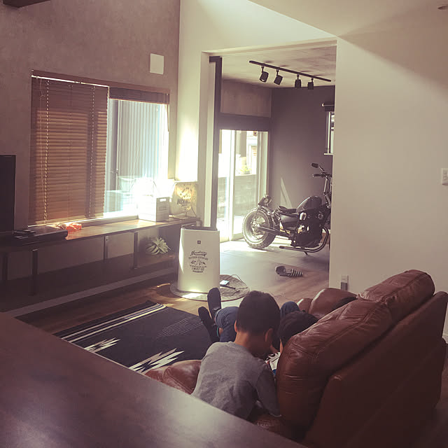ニトリ/3COINS/フェイクグリーン/リビングのインテリア実例 - 2019-04-13 11:24:33