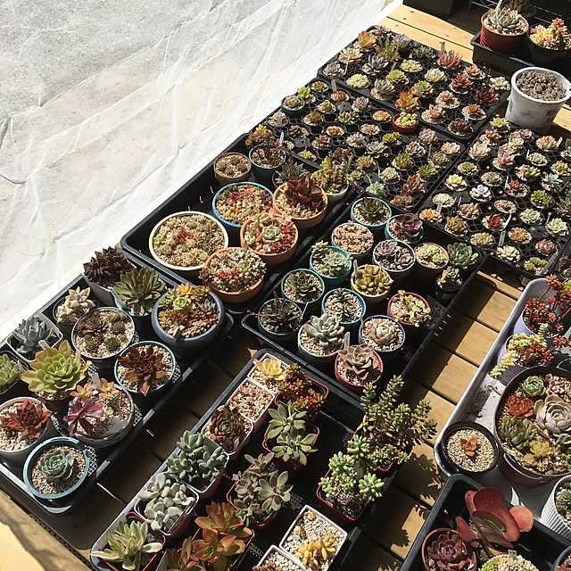 khma88さんの実例写真