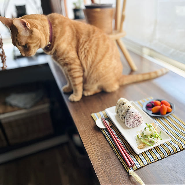 Maruさんの実例写真