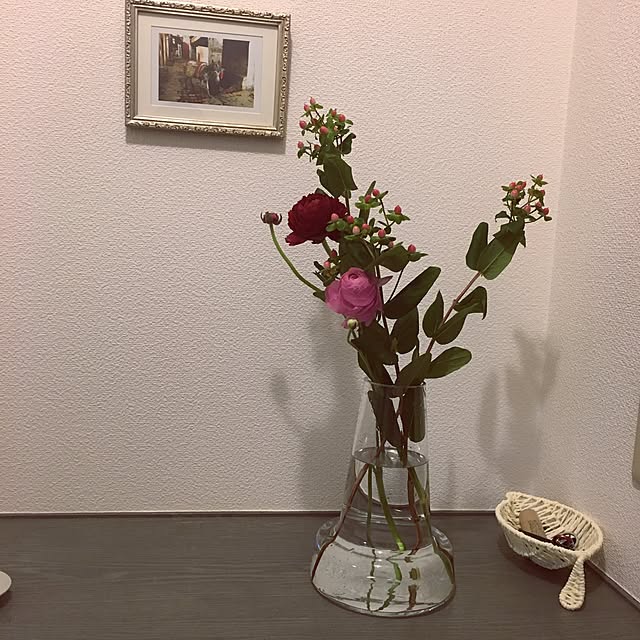 玄関/入り口/北欧/観葉植物のインテリア実例 - 2016-04-10 01:30:52