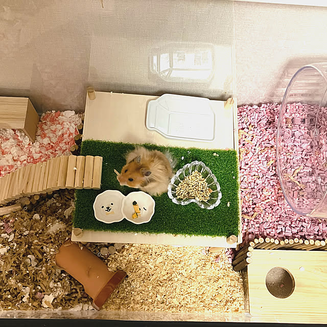 apnさんの部屋