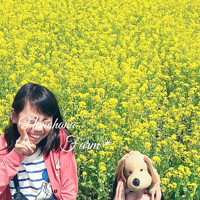 mame-shibaさんの実例写真