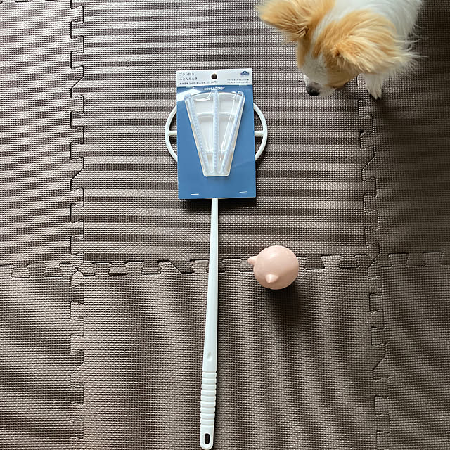 toratanさんの実例写真