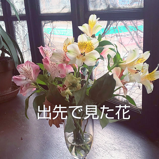 YUKOさんの実例写真