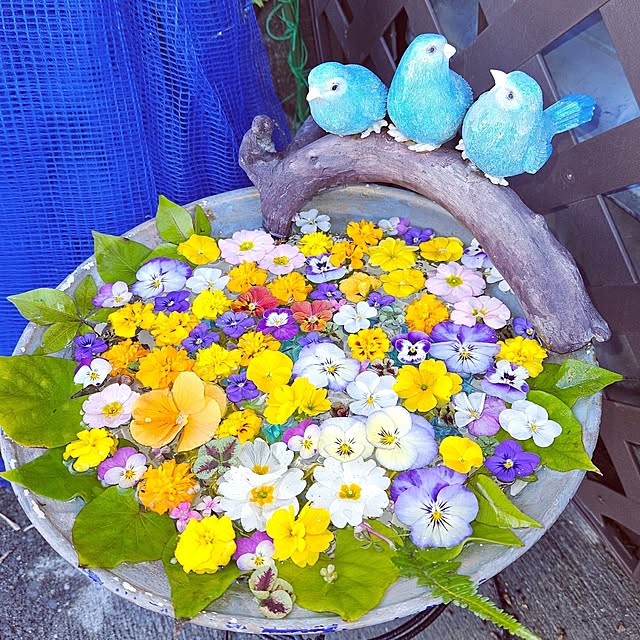 mocomocoさんの実例写真