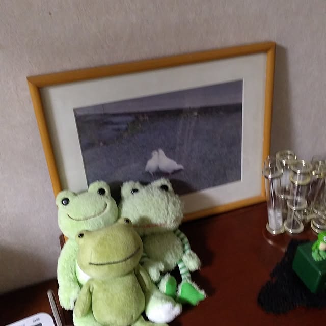 tomoko.tk1130Tomさんの実例写真