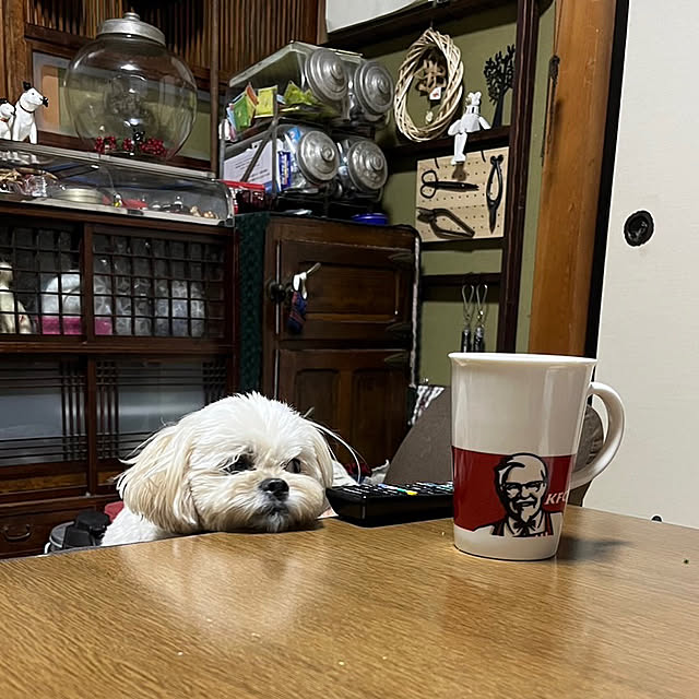 hahaさんの実例写真
